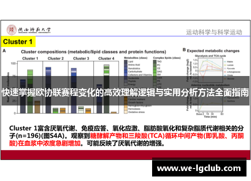 快速掌握欧协联赛程变化的高效理解逻辑与实用分析方法全面指南